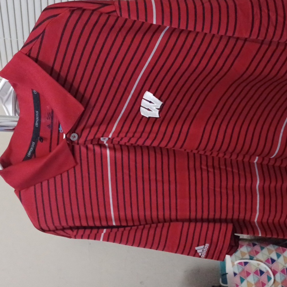 Wisconsin polo